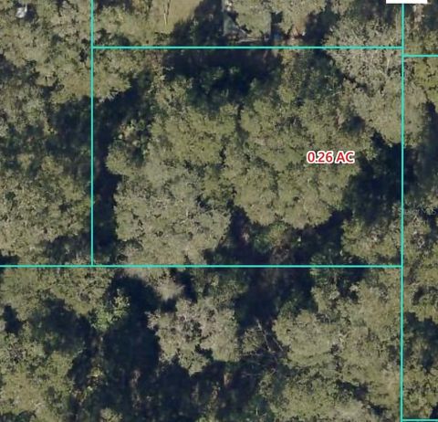 14383 SE 42ND TERRACE OCALA FL 34491