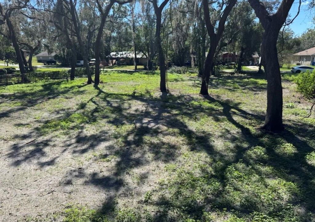 Photo of 34779 Hibiscus Drive, Dade City, FL 33523 (MLS # L4958035)