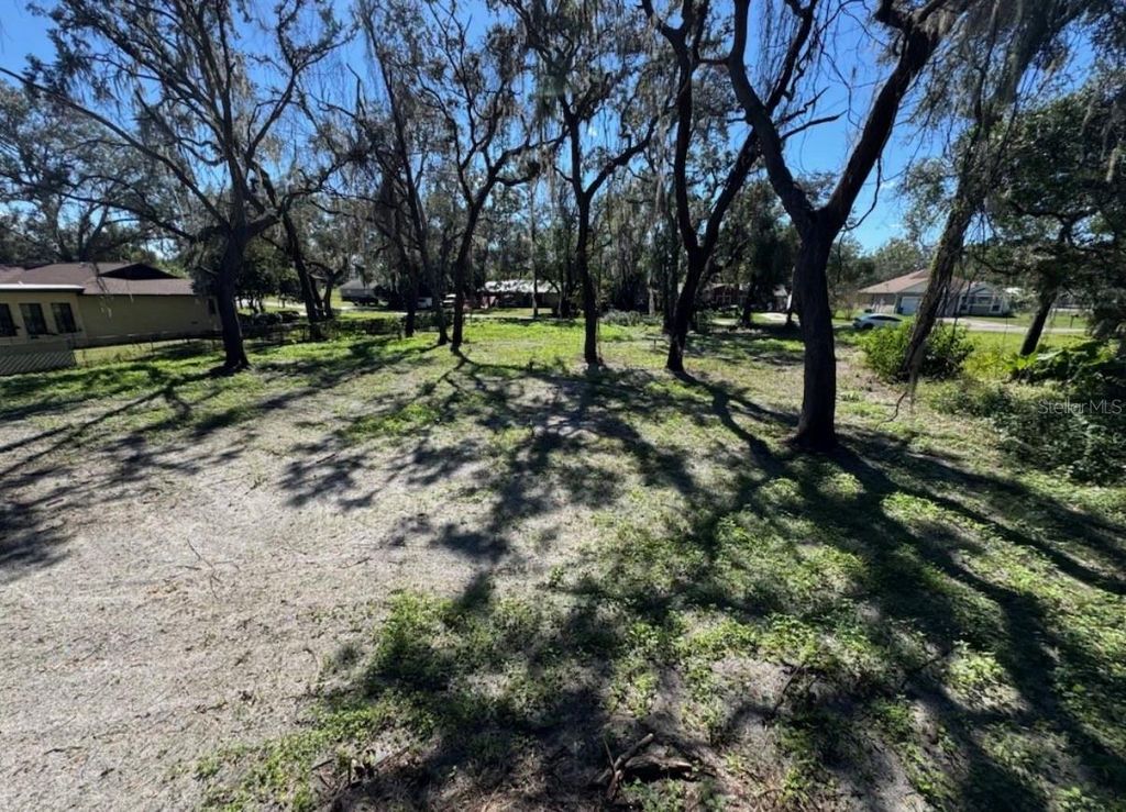 Photo of 34779 Hibiscus Drive, Dade City, FL 33523 (MLS # L4958035)