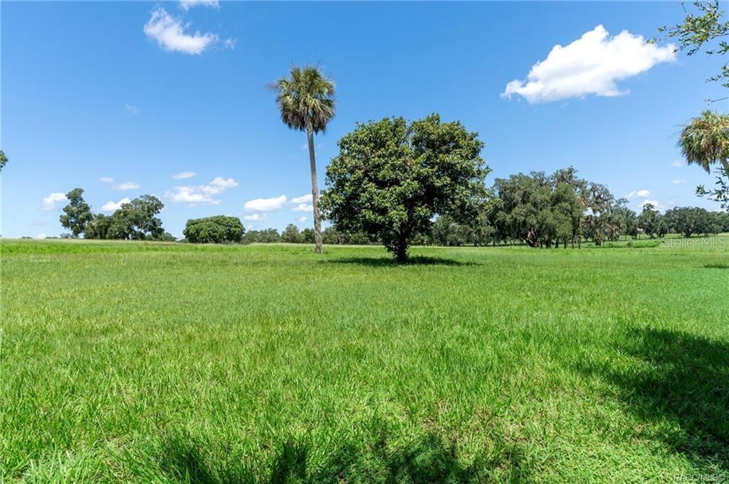 CONNELL LAKE ESTATES - Residential