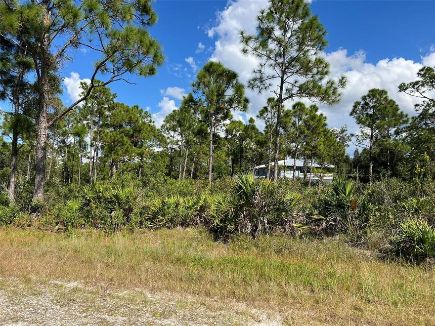 Owner Financing Available.  At least 30 percent down payment, 10 percent interest, Term 36 months or less.
Discover the perfect opportunity to build your dream home on this spacious vacant lot located in the serene and growing community of Punta Gorda, Florida. 
Prime Location: Nestled in a peaceful neighborhood, yet just minutes from Punta Gorda’s charming downtown, historic sites, and waterfront parks.
Convenient Access: Close to major highways (I-75), shopping, dining, and top-rated schools, with easy access to Charlotte Harbor for boating and fishing enthusiasts.
Endless Potential: Zoned for residential use, this lot is a blank canvas ready for your vision.  
Natural Beauty: Surrounded by Florida’s lush landscapes, enjoy the warm climate and proximity to pristine beaches and nature preserves.
Don’t miss this chance to invest in a piece of paradise in one of Southwest Florida’s most desirable areas. Perfect for homeowners, builders, or investors looking to capitalize on Punta Gorda’s booming real estate market.