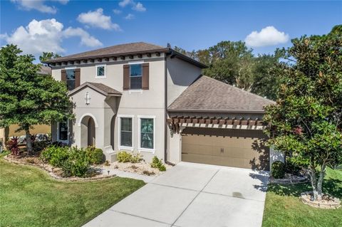 A home in WESLEY CHAPEL