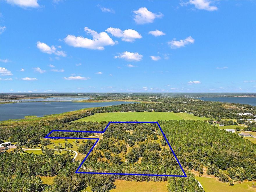 **OWNER FINANCING OPTIONS ARE AVAILABLE** This beautiful property consists of 14.6 high and dry acres that backs up to Emerald Island Marsh Lake, Preserve, and nature trails. With a 3-bedroom, 2-bathroom home, along with two pole barns and a new pool this home has plenty of space for your all toys, equipment and hobbies. There is an existing well, septic system and irrigation that can support a small farm. The home has also recently been updated with new flooring. Located on a private road with an electric security gate, this amazing property provides a unique sanctuary that is private and peaceful with few neighbors, but is also conveniently located a short distance from Downtown Eustis and Mt Dora. Call today to schedule a showing.