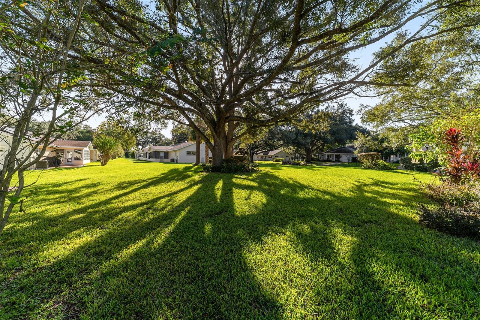 ON TOP OF THE WORLD - Residential