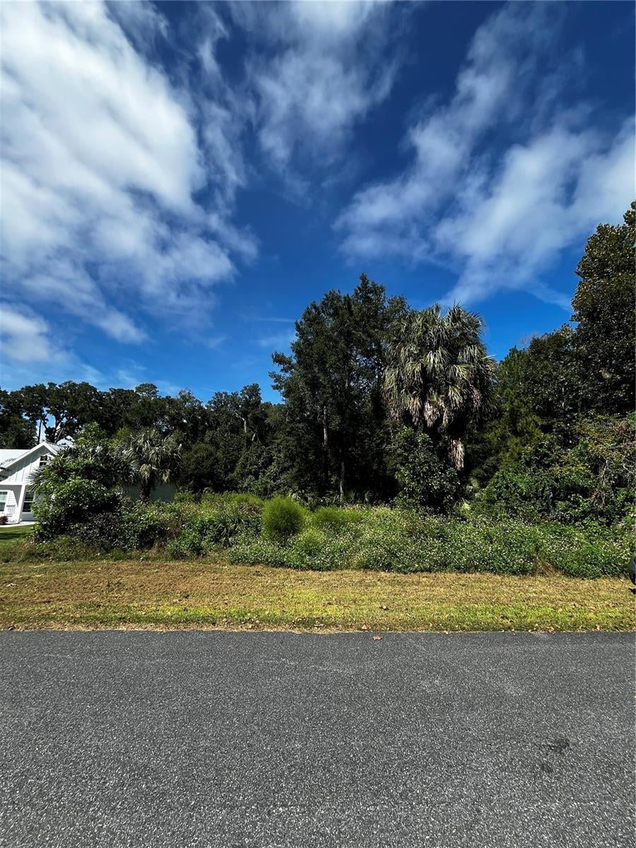 Photo of 9239 Emily Drive, Fanning Springs, FL 32693 (MLS # GC544247)
