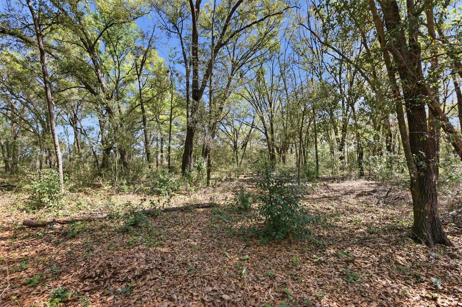 SORRENTO SPGS PH 04 - Residential