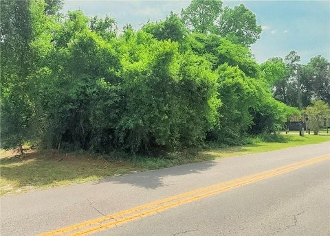 Tiny photo for 3638 E Delight Street, Hernando, FL 34442 (MLS # W7886875)