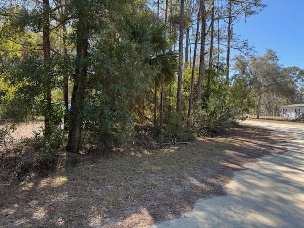 Photo of 10220 W Ohio Drive, Crystal River, FL 34428 (MLS # L4950445)