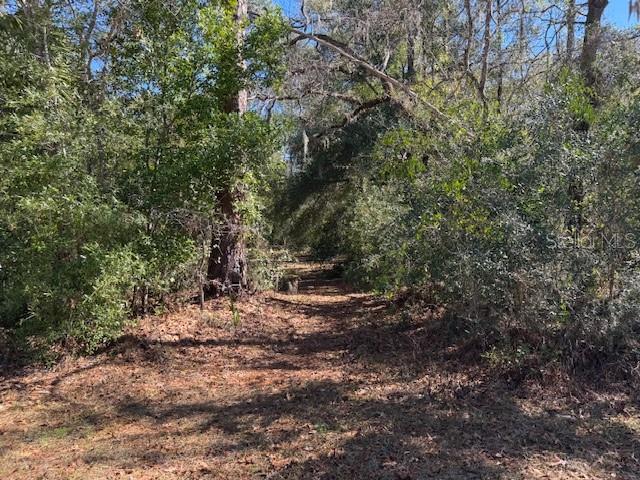 HOLIDAY HEIGHTS UNIT 02 - Land