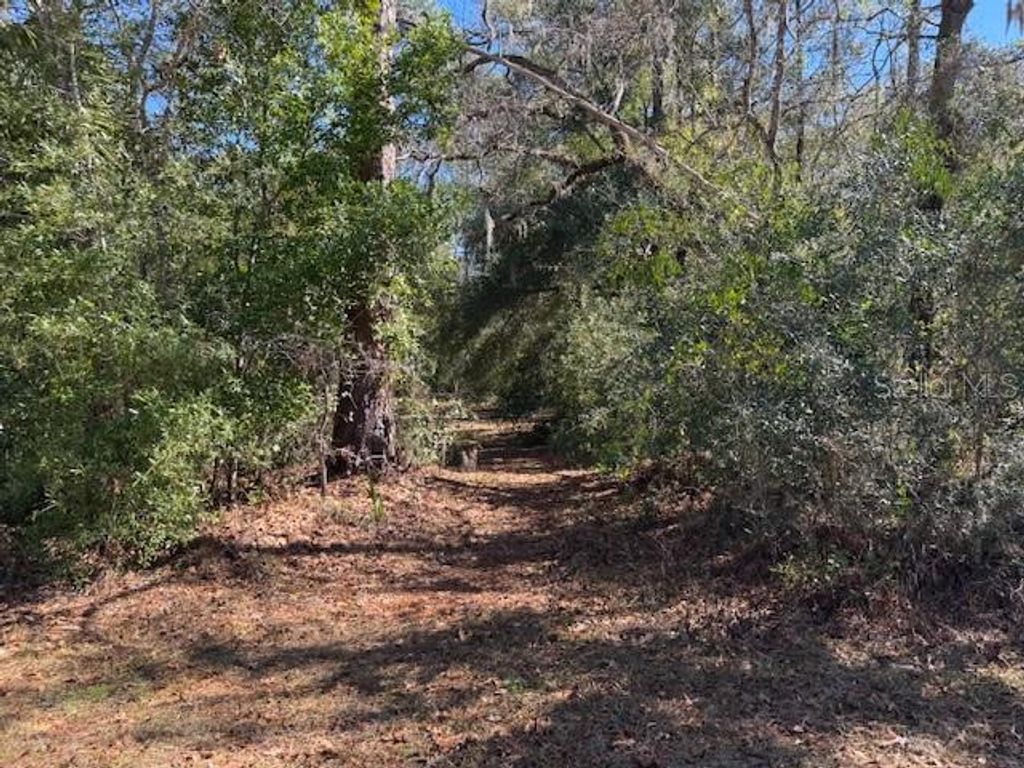 Photo of 10220 W Ohio Drive, Crystal River, FL 34428 (MLS # L4950445)
