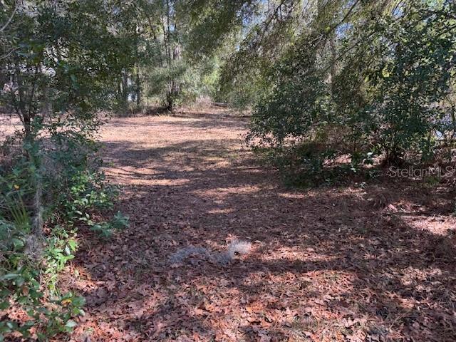 HOLIDAY HEIGHTS UNIT 02 - Land