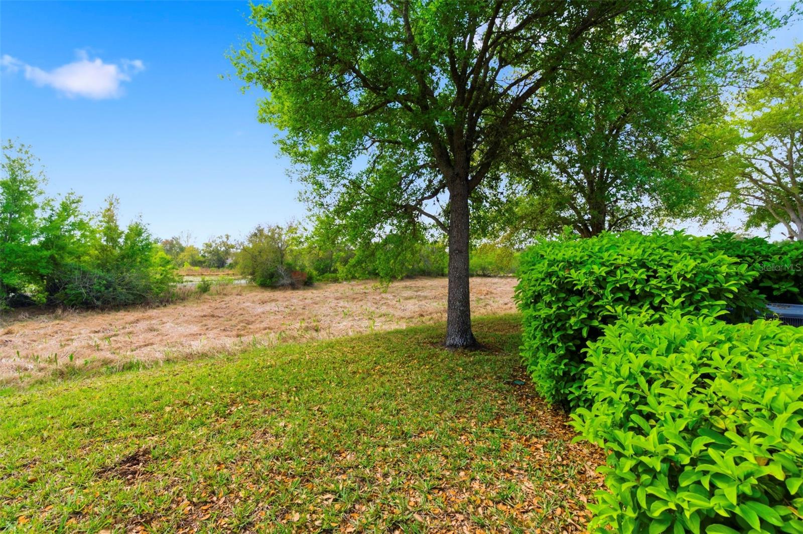 HAMPTON VILLAGE AT RIVER RIDGE PH 01 - Residential