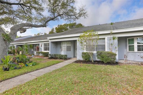 Photo of 1393 Kittery Court, Safety Harbor, FL 34695 (MLS # TB8486621)