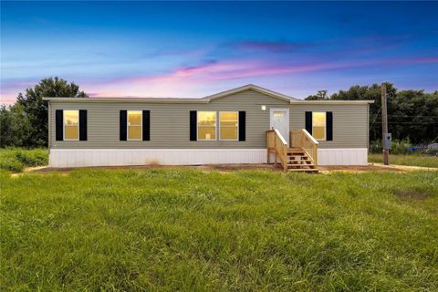 A home in POLK CITY