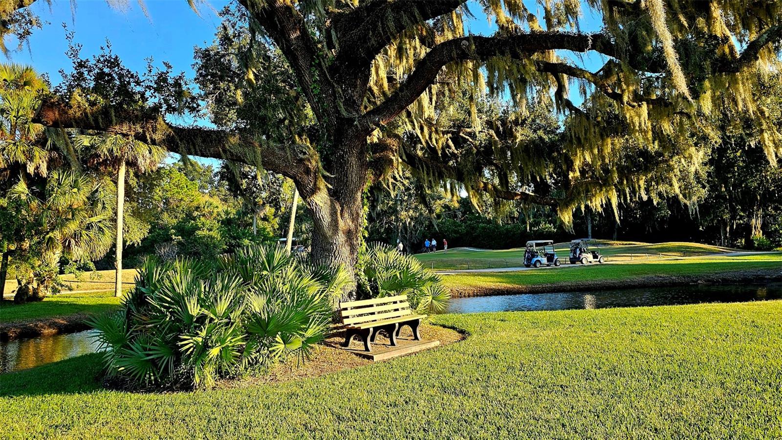 OSPREY COVE - Residential