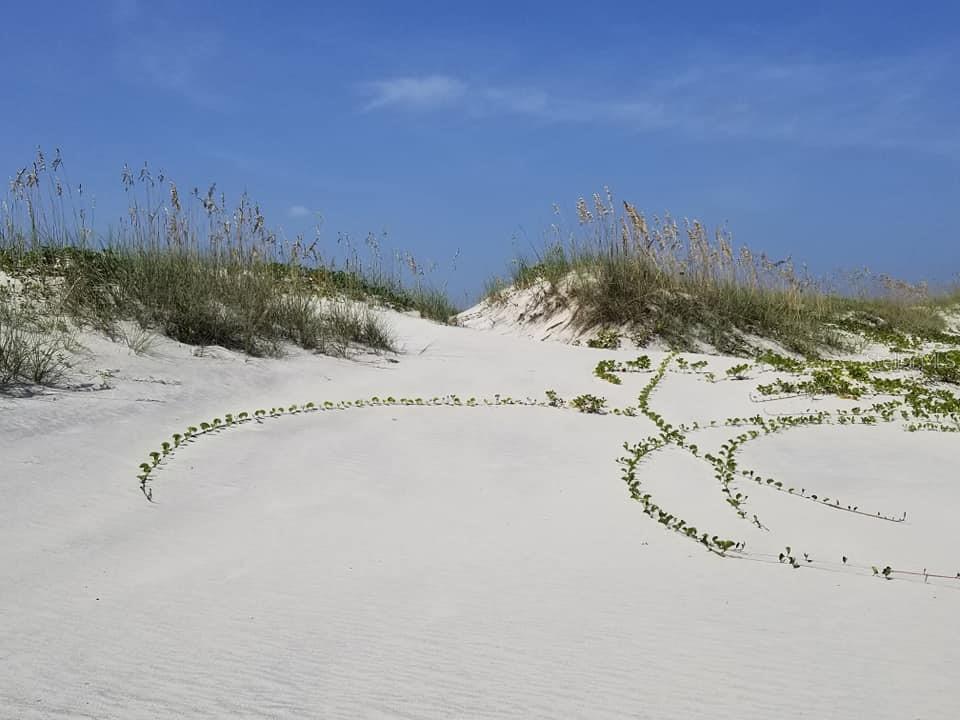 OSPREY COVE - Residential