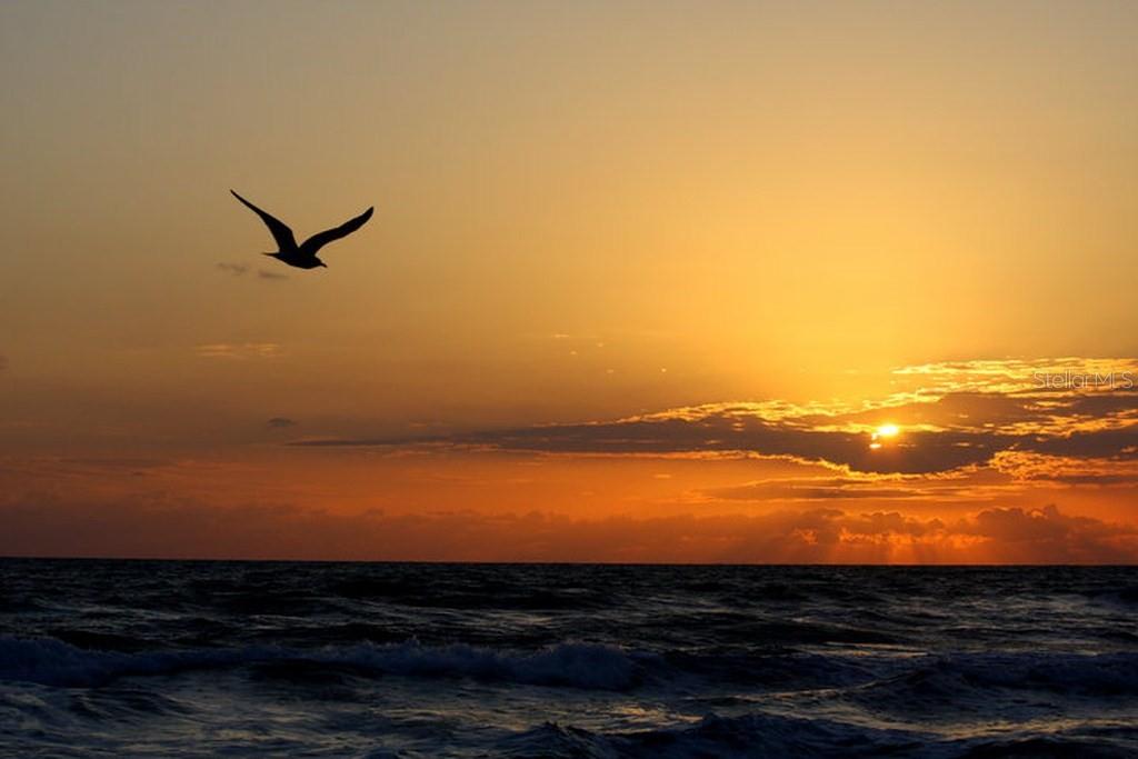 OSPREY COVE - Residential