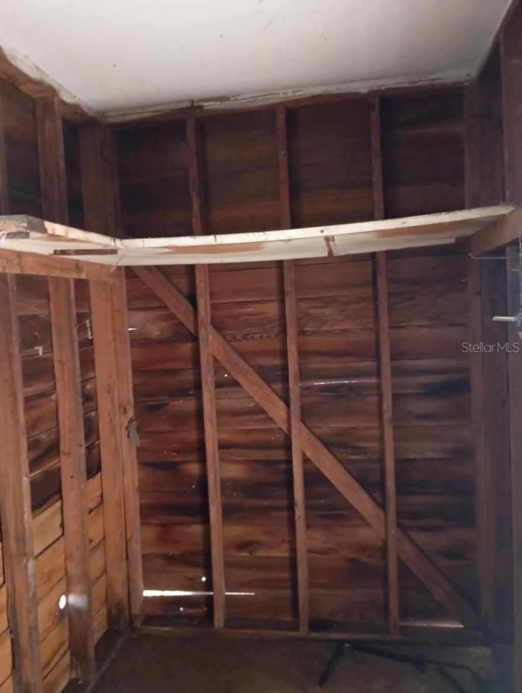 Photo of 2924 E 148th Avenue, Lutz, FL 33559 (MLS # W7883598)