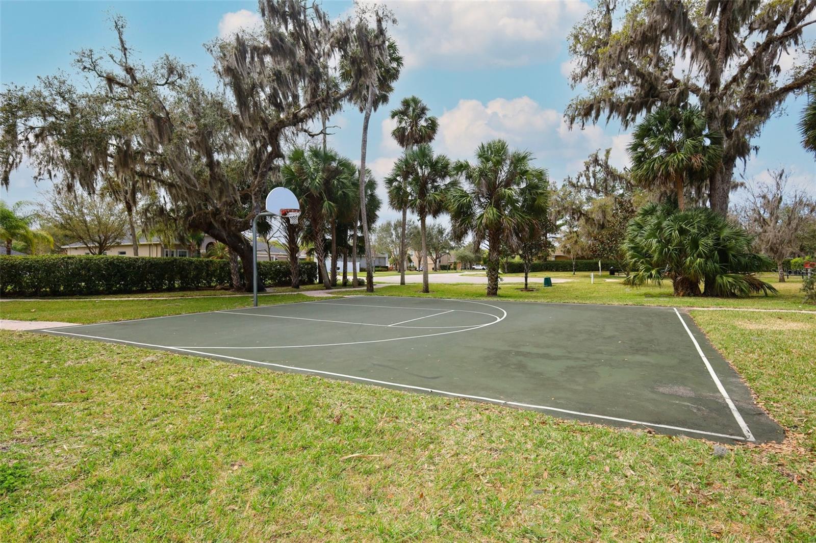 PRESERVE AT LAKE CHARM - Residential