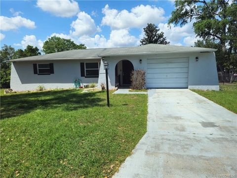Photo of 404 S Adams Street, Beverly Hills, FL 34465 (MLS # TB8492134)