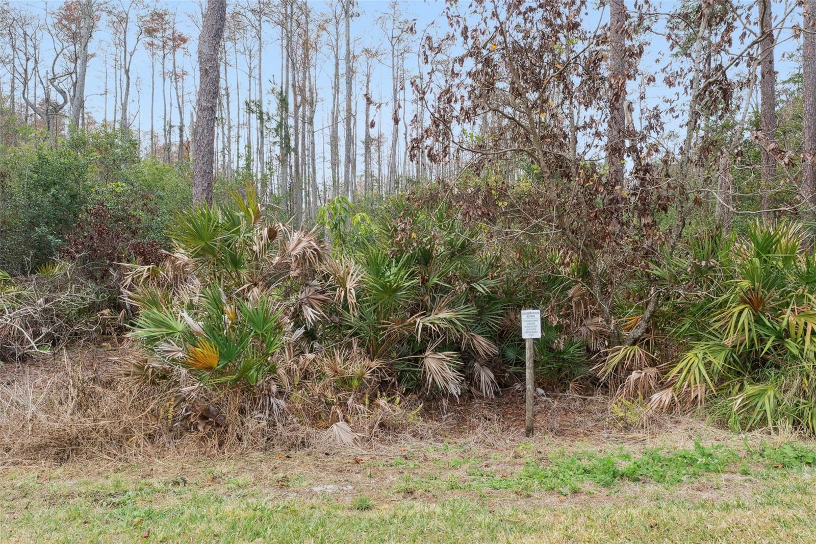 LAKE REAMS TOWNHOMES - Residential