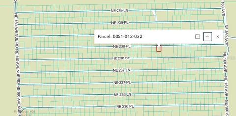Tiny photo for NE 238th Pl, Fort Mccoy, FL 32134 (MLS # O6448955)