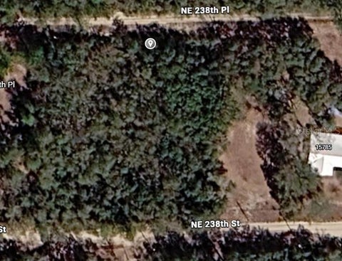 Photo of NE 238th Pl, Fort Mccoy, FL 32134 (MLS # O6448955)