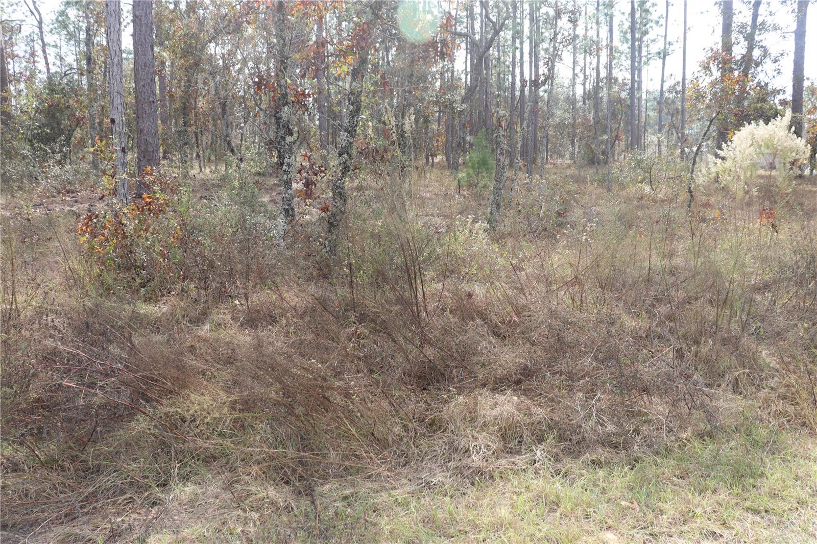 RAINBOW LAKES ESTATE - Land