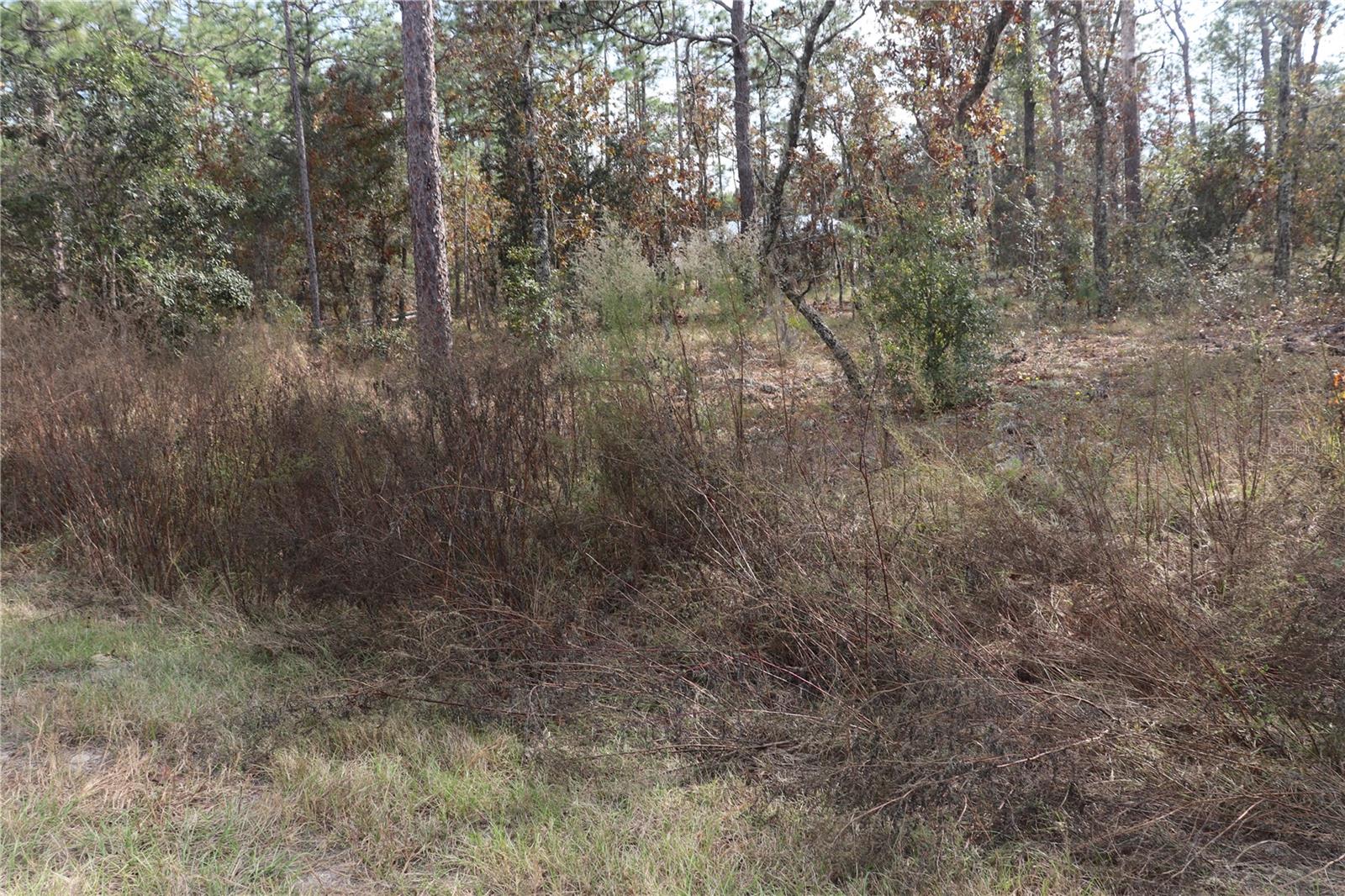 RAINBOW LAKES ESTATE - Land