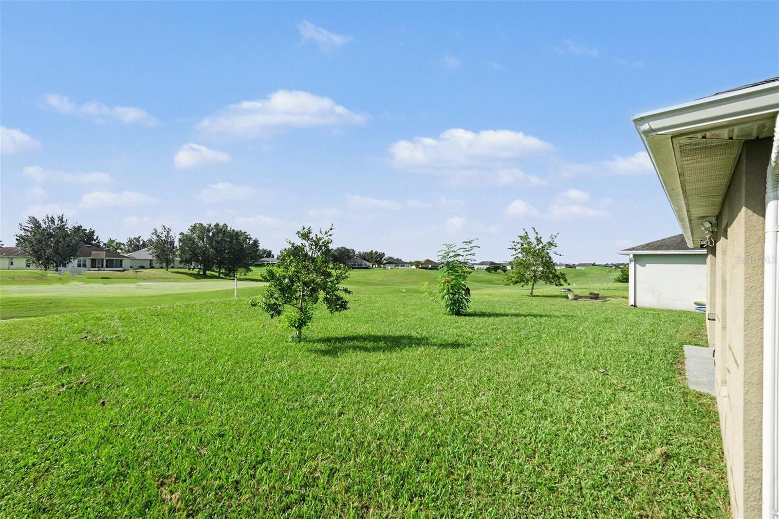 30944 WATER LILY DRIVE