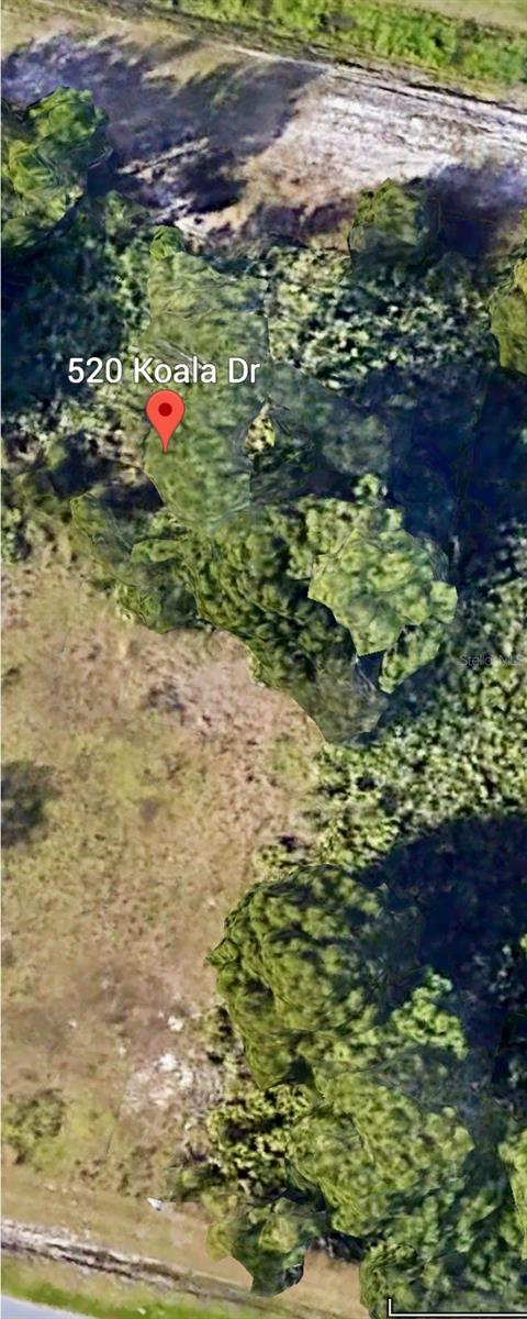 POINCIANA NBRHD 03 VILLAGE 03 - Land