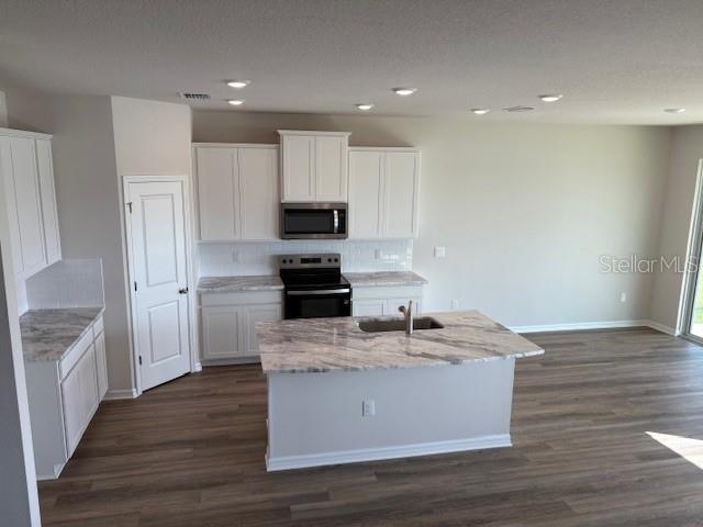 5707 SILVER FEATHER WAY
