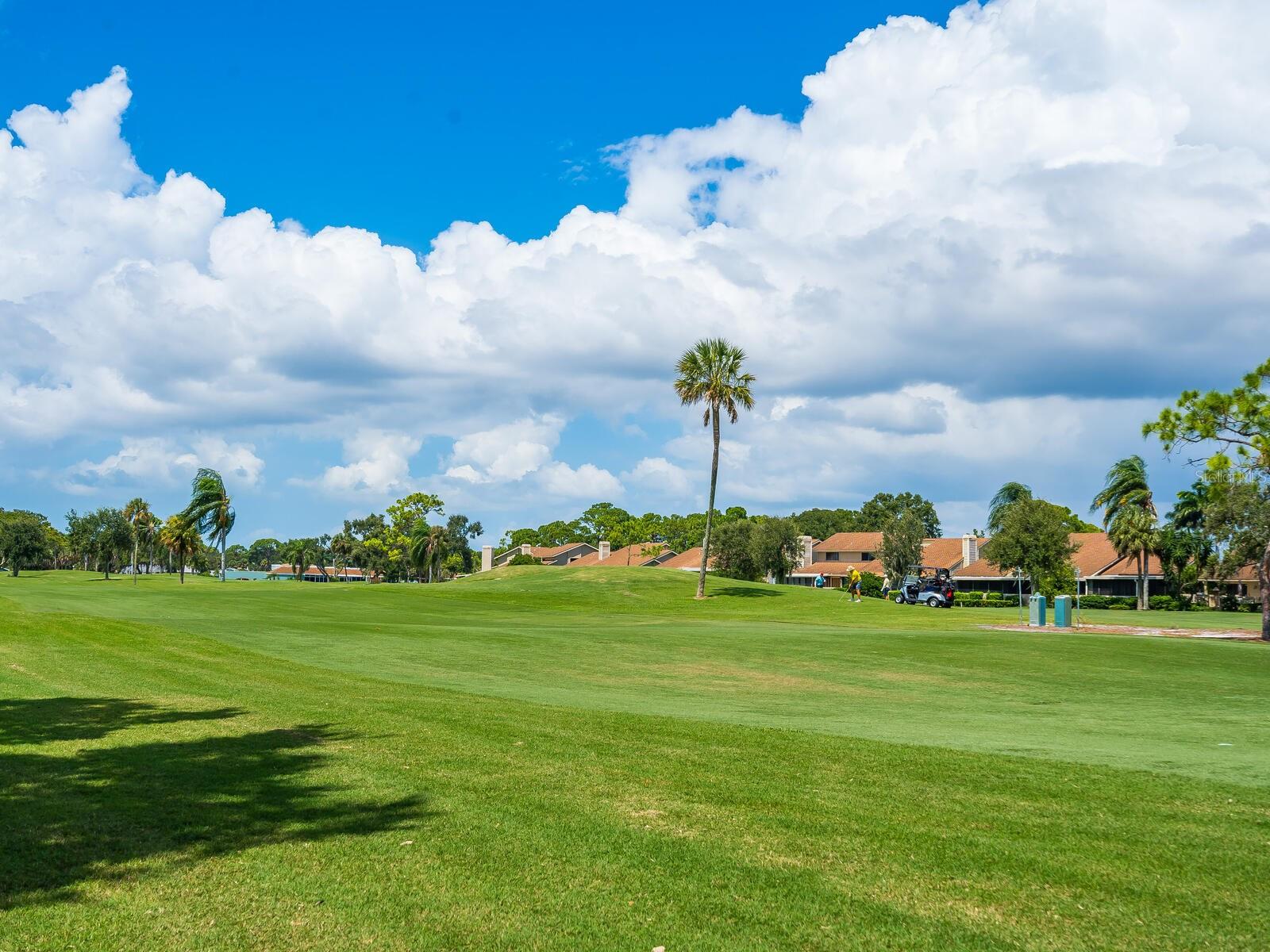 THE GREENS AT EL CONQUISTADOR - Residential