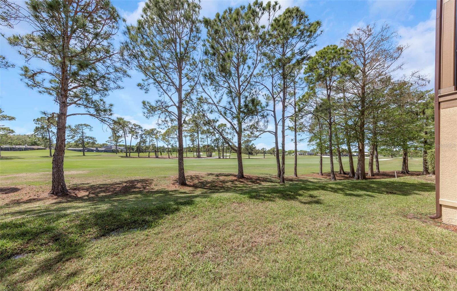 AUDUBON CONDO AT FEATHER SOUND - Residential