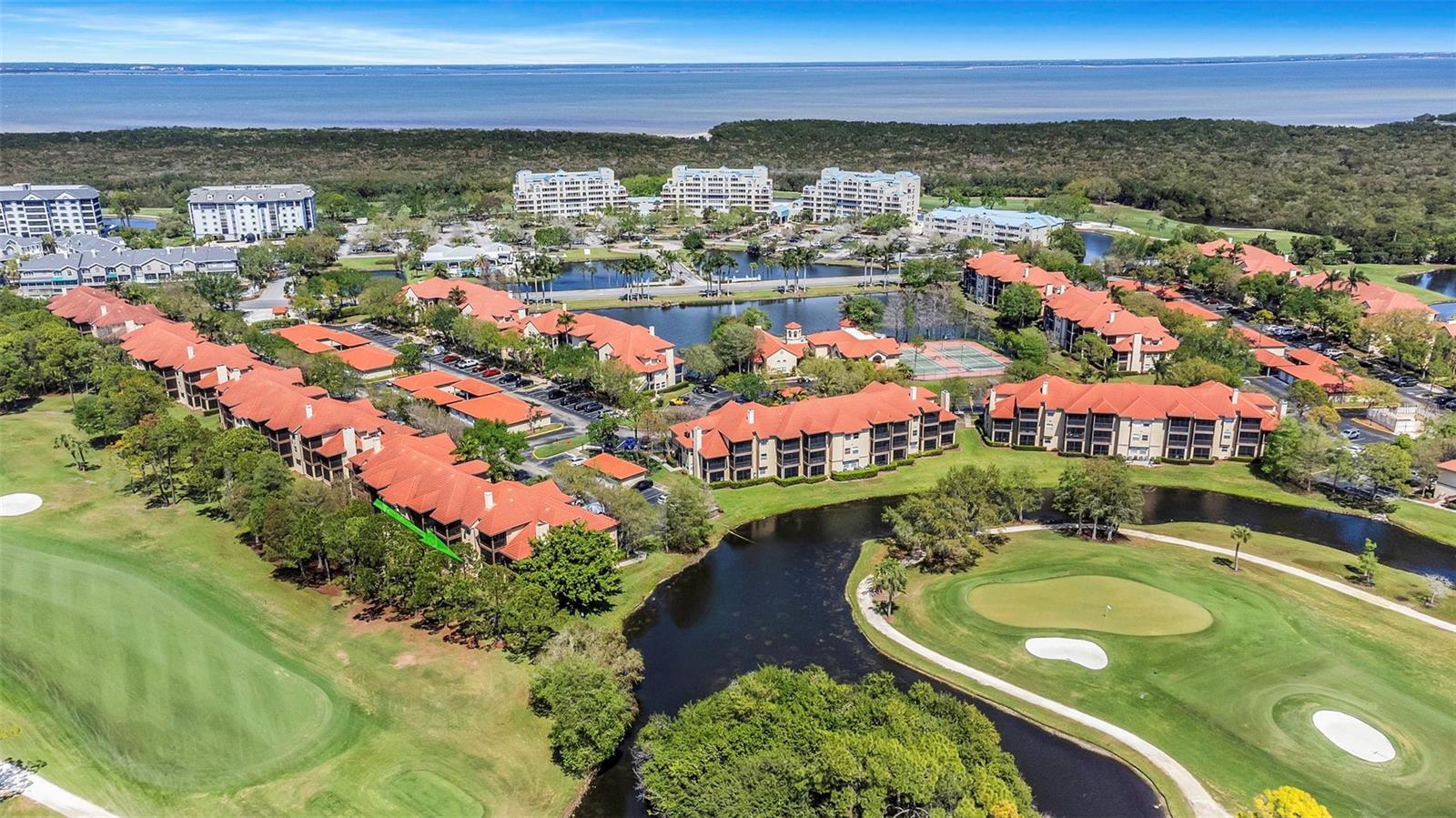 AUDUBON CONDO AT FEATHER SOUND - Residential