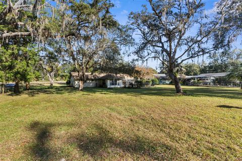 A home in DADE CITY