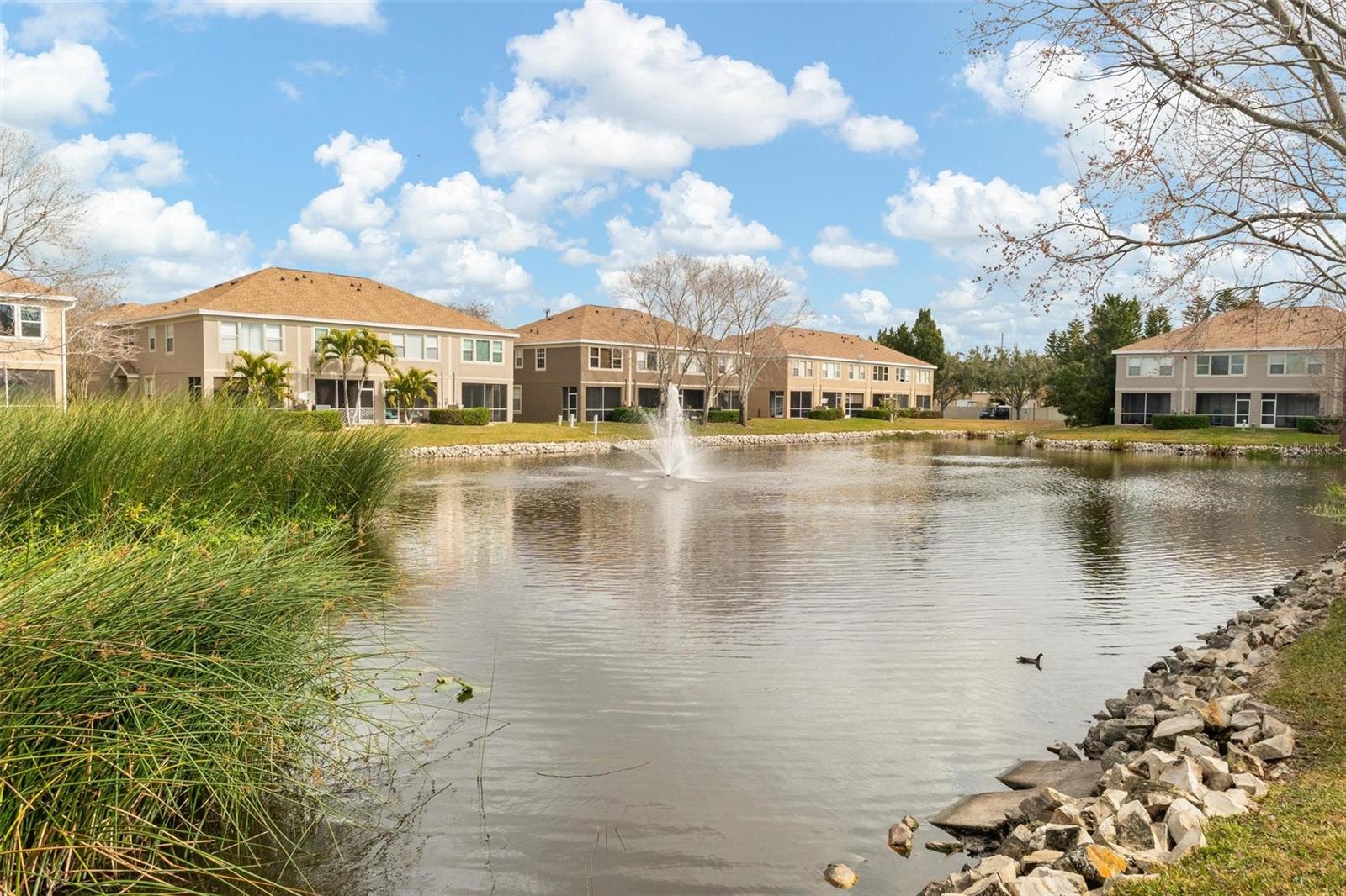 TOWNHOMES AT MILLBROOKE RANCH - Residential
