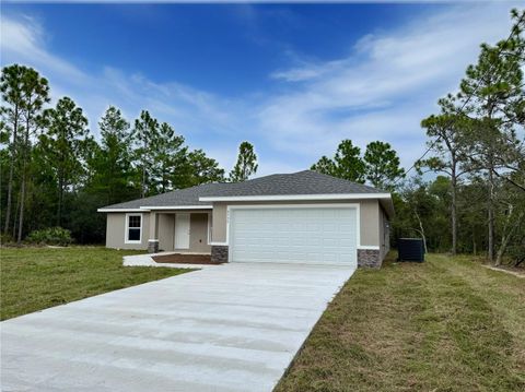 Photo of 6735 N Waterman Drive, Dunnellon, FL 34433 (MLS # OM708426)