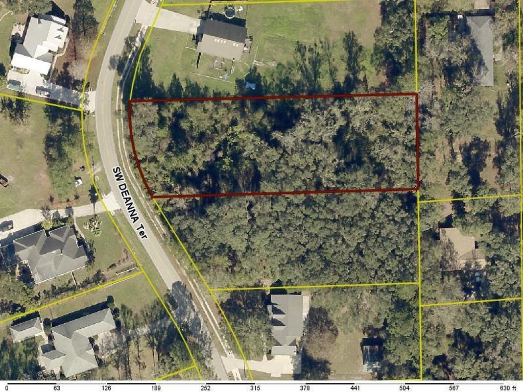 Photo of 311 SW Deanna Terrace, Lake City, FL 32025 (MLS # TB8489750)