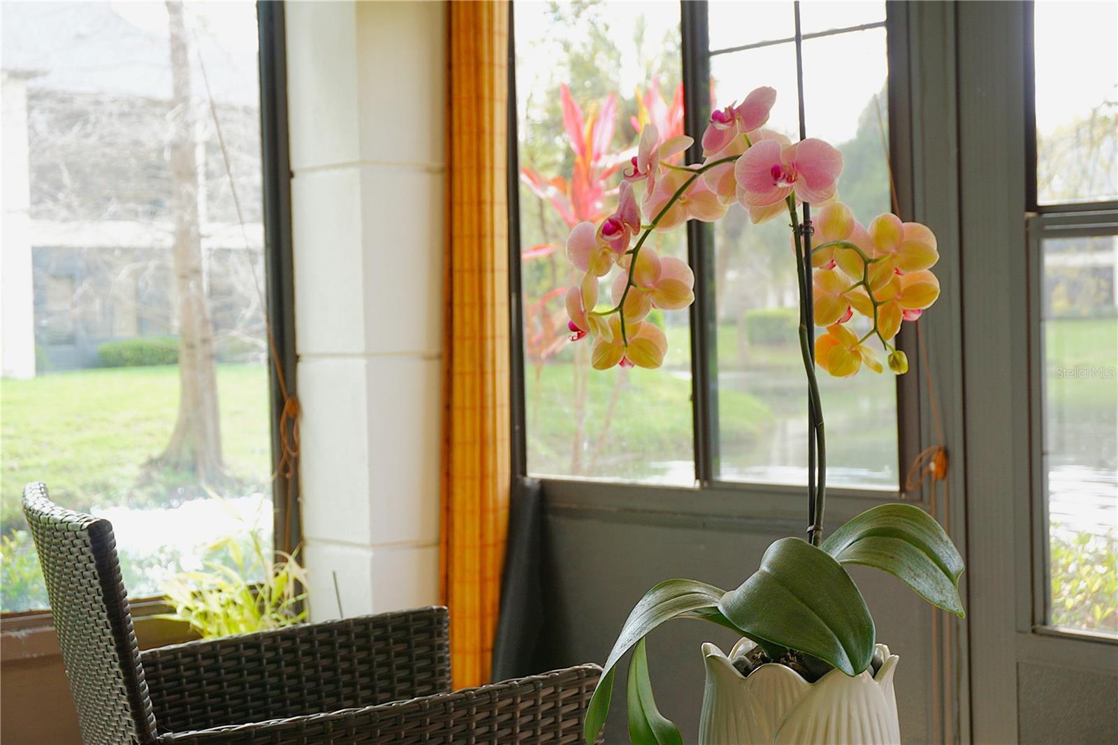 CARROLLWOOD VILL CHASE PH 5 - Residential