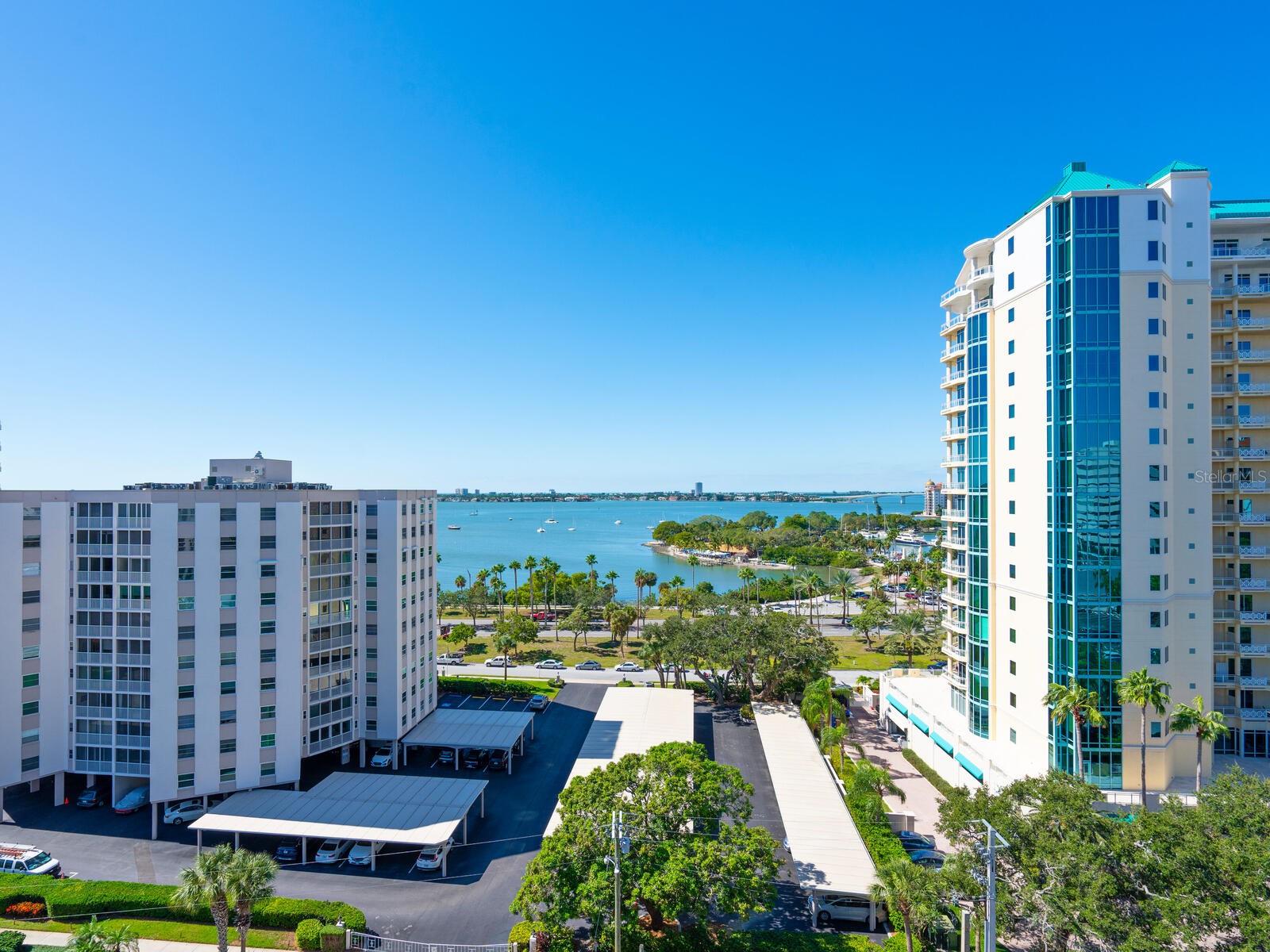 THE SAVOY ON PALM - Residential