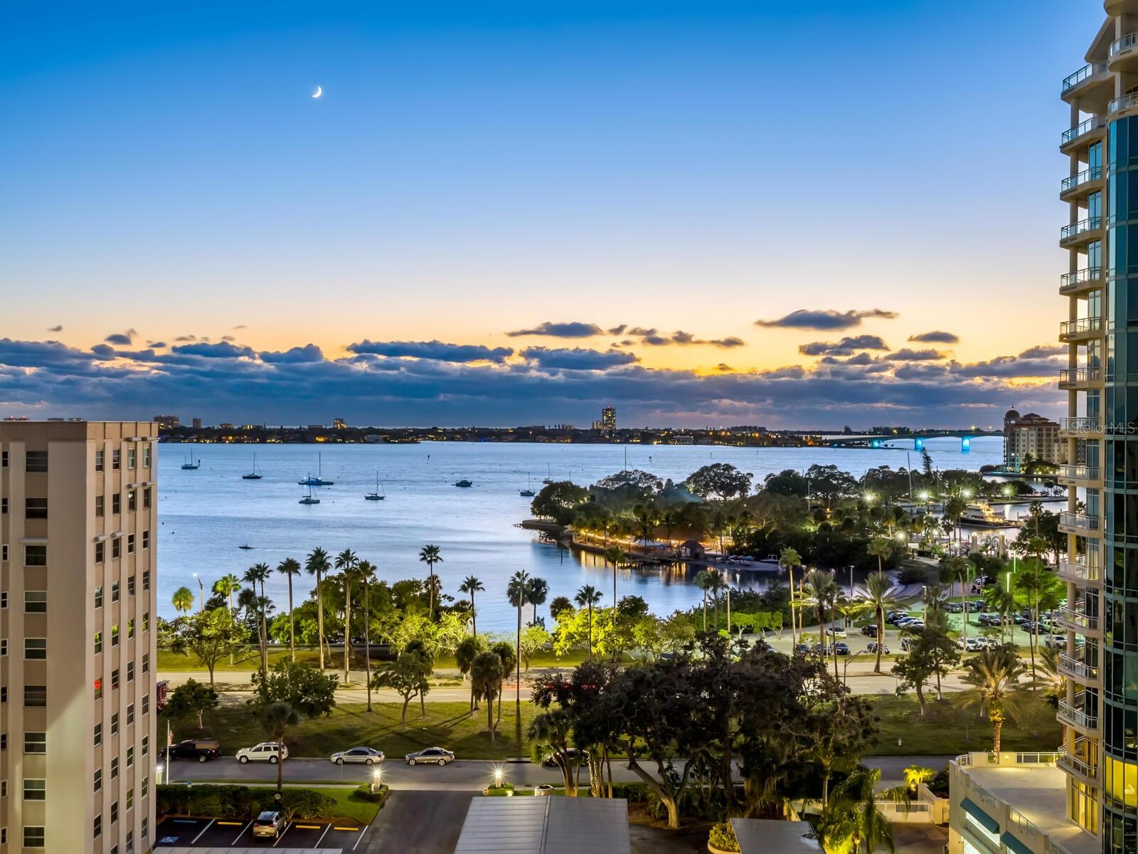 THE SAVOY ON PALM - Residential