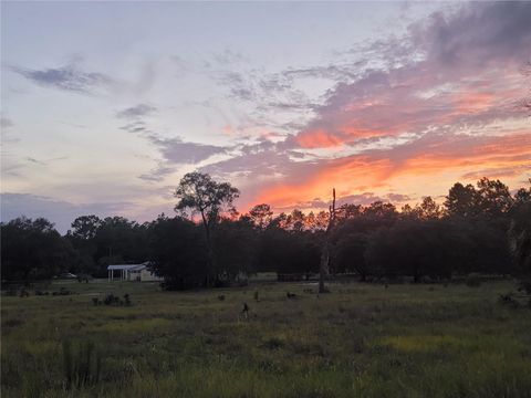 Tiny photo for 23061 SW Nautilus Boulevard, Dunnellon, FL 34431 (MLS # OM708151)