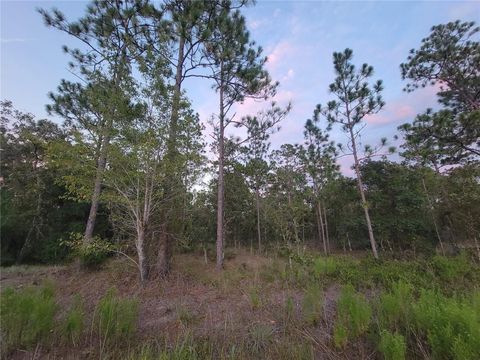 Tiny photo for 23061 SW Nautilus Boulevard, Dunnellon, FL 34431 (MLS # OM708151)