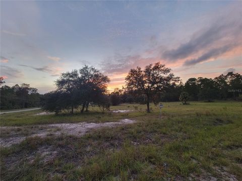 Tiny photo for 23061 SW Nautilus Boulevard, Dunnellon, FL 34431 (MLS # OM708151)