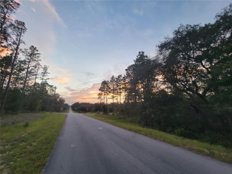 Tiny photo for 23061 SW Nautilus Boulevard, Dunnellon, FL 34431 (MLS # OM708151)