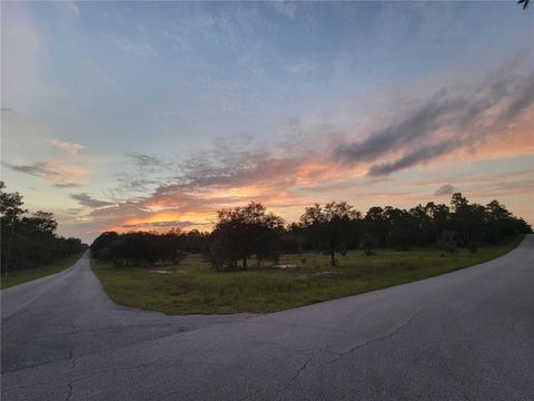 Tiny photo for 23061 SW Nautilus Boulevard, Dunnellon, FL 34431 (MLS # OM708151)