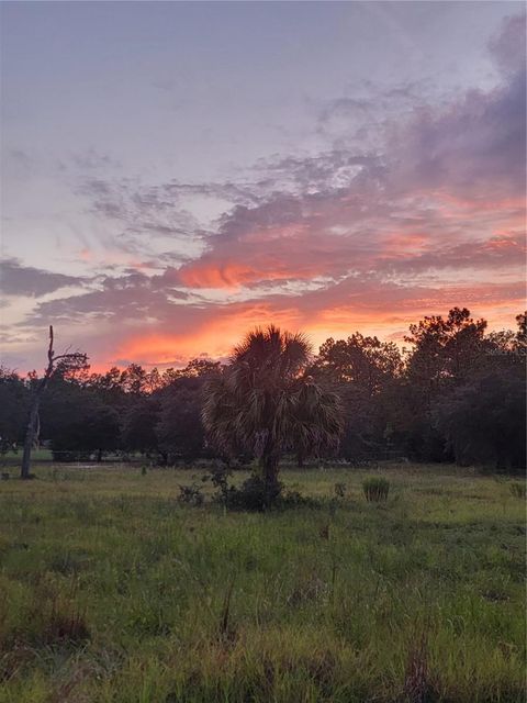 Tiny photo for 23061 SW Nautilus Boulevard, Dunnellon, FL 34431 (MLS # OM708151)