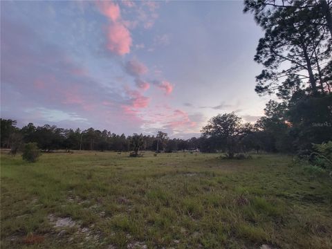Tiny photo for 23061 SW Nautilus Boulevard, Dunnellon, FL 34431 (MLS # OM708151)