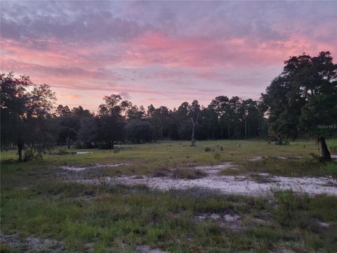 Tiny photo for 23061 SW Nautilus Boulevard, Dunnellon, FL 34431 (MLS # OM708151)